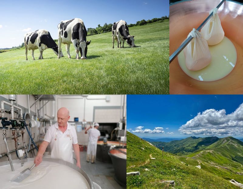 Caseificio Rio San Michele