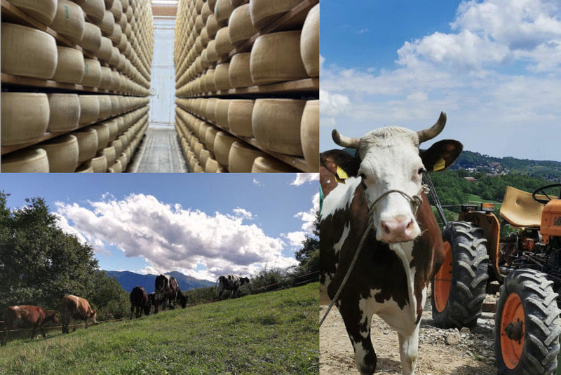 Caseificio Beato Marco di Mocogno