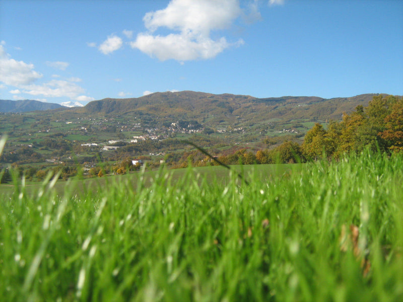 Caseificio Soc. Fior Di Latte