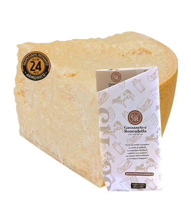 Parmigiano Reggiano 24 mois 